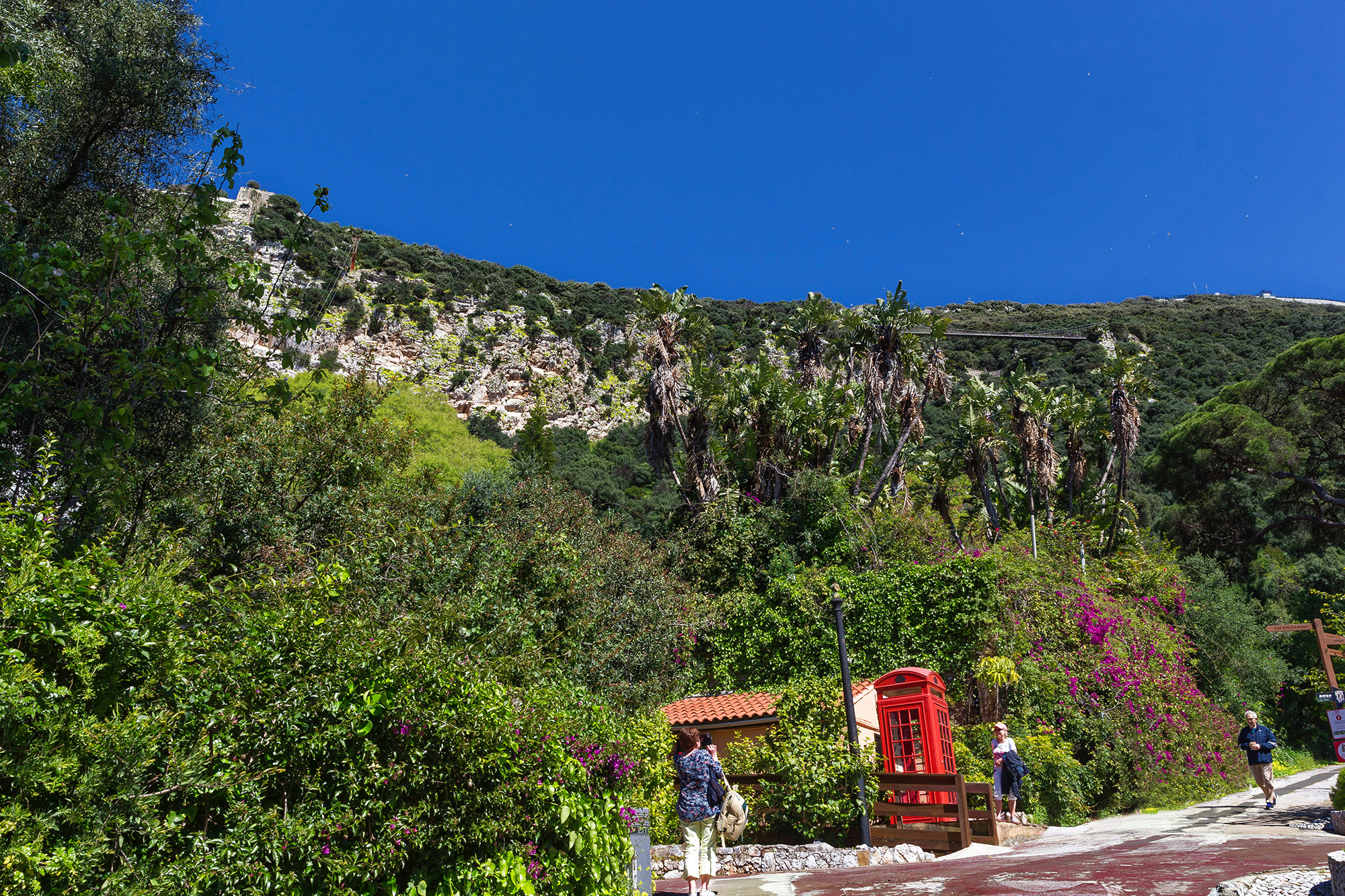 Gibraltar - Des jardins botaniques, vue sur la baie de Gibraltar